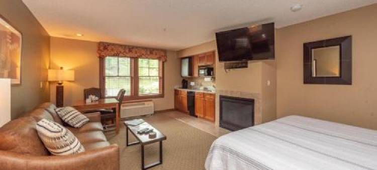 A214 Studio Standard View图片