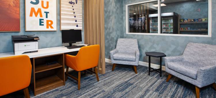 萨姆特智选假日酒店及套房(Holiday Inn Express & Suites Sumter)图片