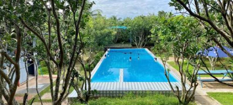 Cồn Phụng Retreats Mekong - Nature Island with Free Boat Shuttle & Fishing图片