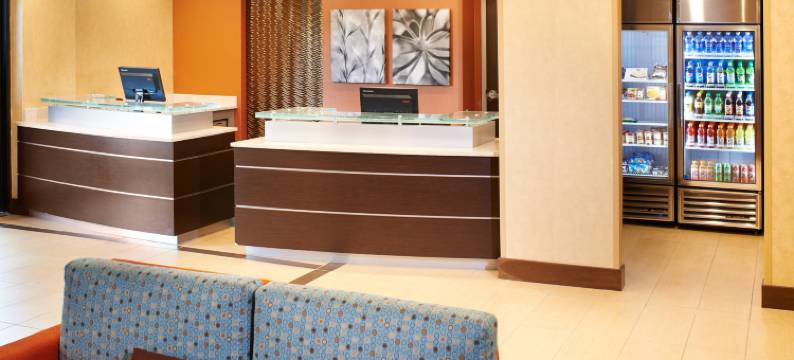北安阿伯万豪 Residence Inn 酒店(Residence Inn Ann Arbor North)图片