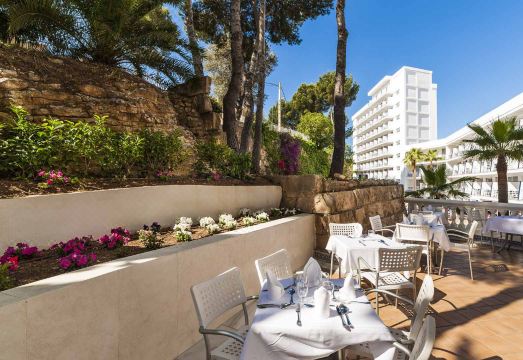 Globales Palmanova PalaceHotel Overview