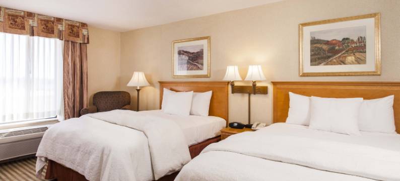 希尔顿欢朋套房酒店-艾迪生(Hampton Inn & Suites Addison)图片