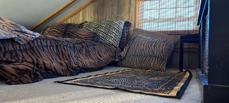 The Cajun Chateau is the perfect rustic get-away!图片