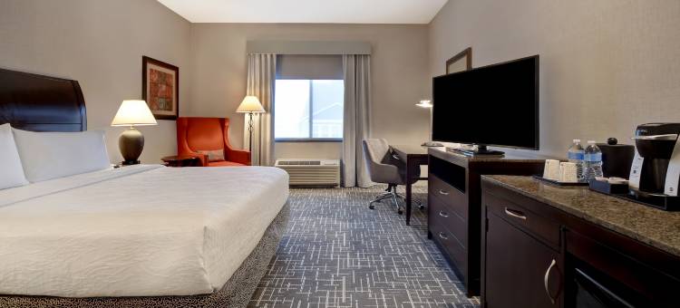 特温福尔斯希尔顿花园酒店(Hilton Garden Inn Twin Falls)图片