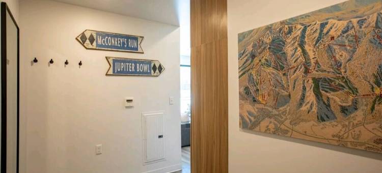 宠物友好-现代一卧室-泳池, 热水浴池, 健身房 民宿(Pet Friendly-Modern 1 Bedroom- Pool, Hot Tub, Gym)图片