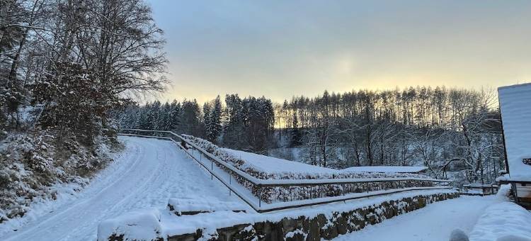 Recreation in the forest - with swimming pool!图片