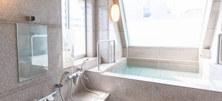 新桥桑巴坎酒店(Hotel Shimbashi Sambankan)图片