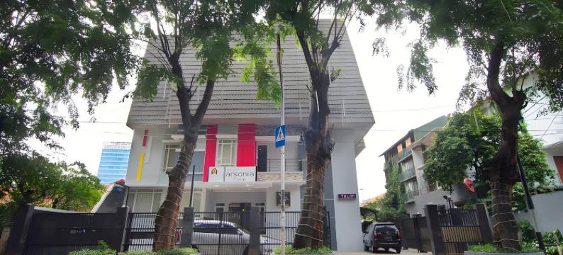 阿索尼亚郁金香之家(House of Arsonia Tulip)图片