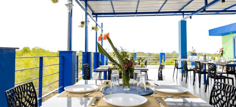 Panism Lifestyle图片