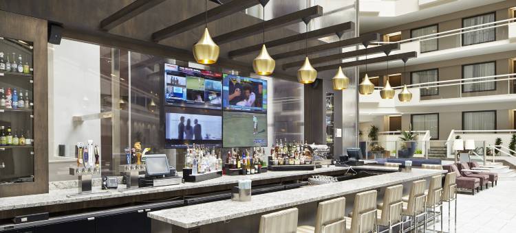 亚特兰大加勒里亚希尔顿安泊酒店(Embassy Suites by Hilton Atlanta Galleria)图片