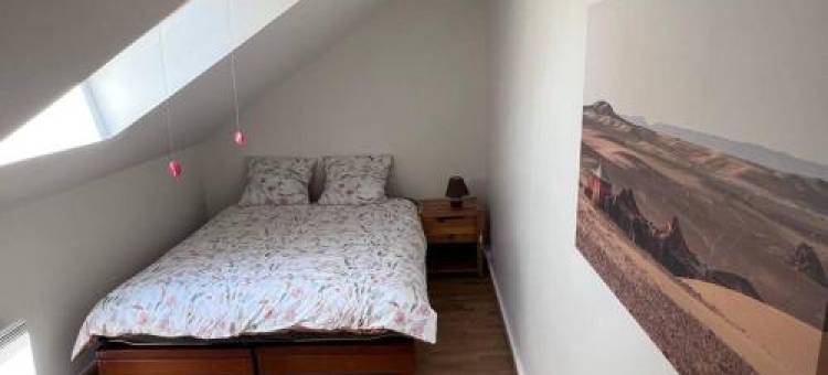 Grand Appartement Lumineux 2ch. Ville Historique.图片