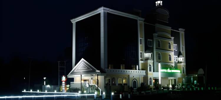 奥莉芙国际酒店(Hotel Olive International)图片