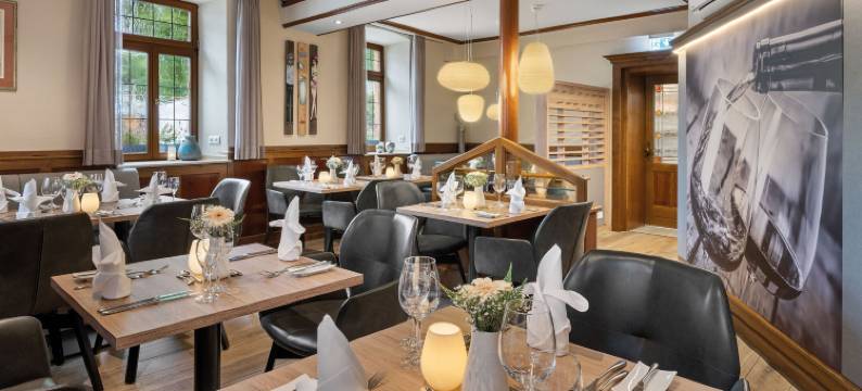 阿塞汉姆普法索酒店(Pfalzhotel Asselheim)图片