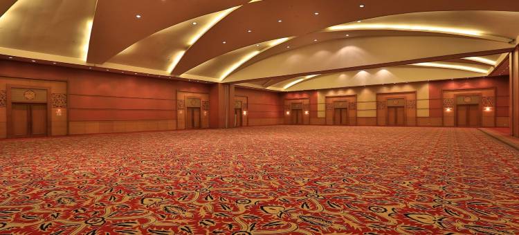 巴邻旁阿里亚酒店(Aryaduta Palembang)图片