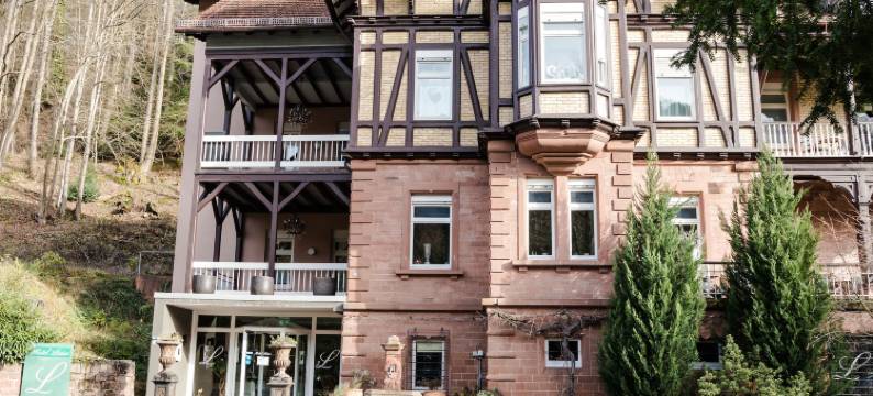 路易斯酒店(Hotel Luise)图片