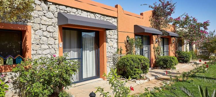 索尔托塞利米耶酒店(Fİ Light Solto Boutique Beach Hotel)图片