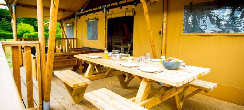 临近朗斯和杜伦斯丘的舒适帐篷小屋(Apartment in Netherlands Near Nature Trails)图片