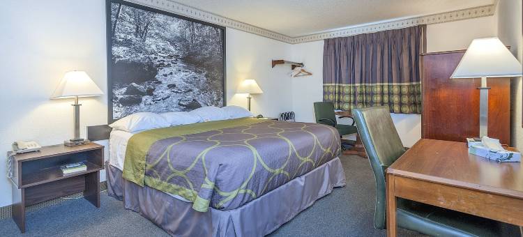 科罗拉多斯普林斯-切斯特纳特街温德姆速8酒店(Super 8 by Wyndham Colorado Springs/Chestnut Street)图片