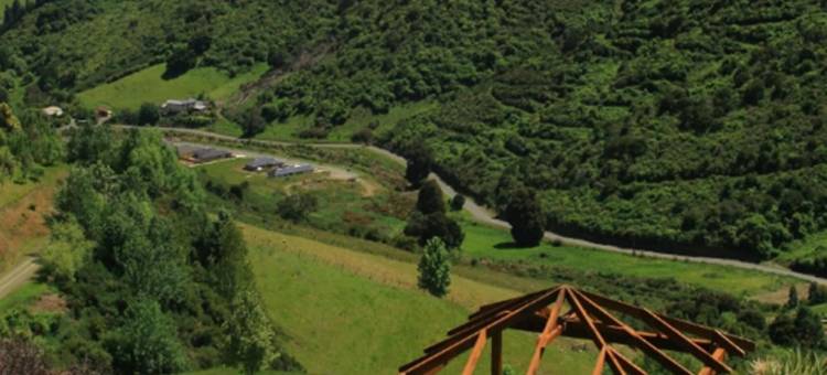 帕劳尤塔小屋(Parautane Lodge)图片