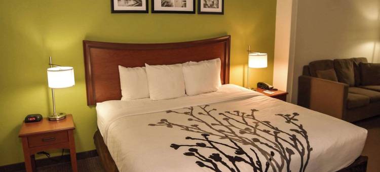 舒眠套房酒店(Sleep Inn & Suites)图片