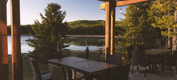 绍特湖会议及度假村(Schott’s Lake Conference & Resort)图片