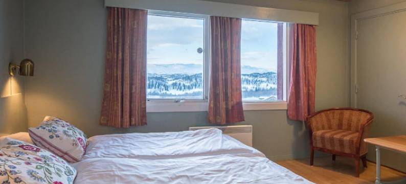 劳兰德高地酒店(Rauland Høgfjellshotell)图片