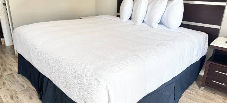 阿林顿美洲优选酒店(Americas Best Value Inn Arlington)图片