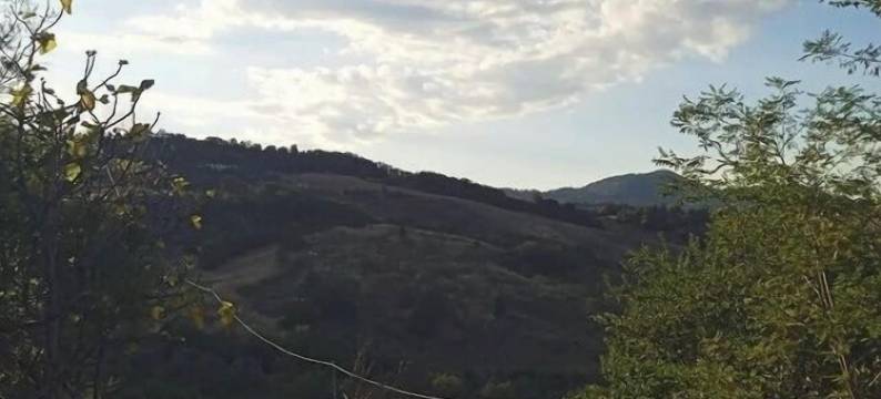 I 3 falchi床和早餐(I 3 Falchi Bed & Breakfast)图片