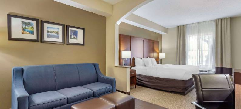 塞金的舒适套房酒店(Comfort Inn & Suites)图片