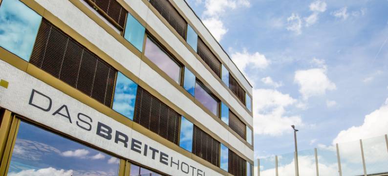 莱茵河畔达斯布雷特酒店(Dasbreitehotel am Rhein)图片