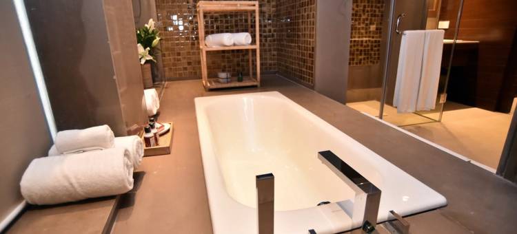 拉里曼加酒店(The Lalit Mangar)图片