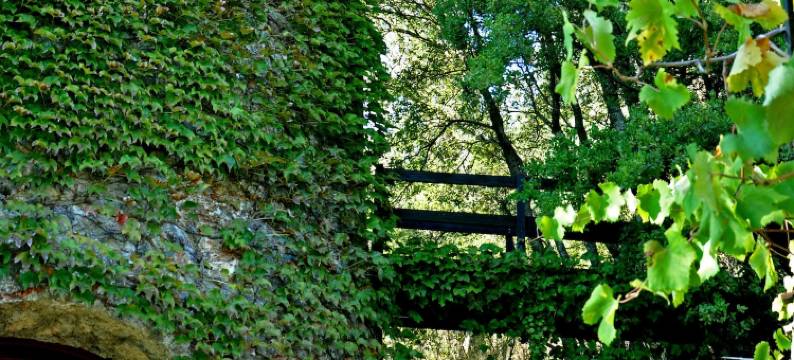 梅洛里亚别墅酒店(Villa Melolia)图片