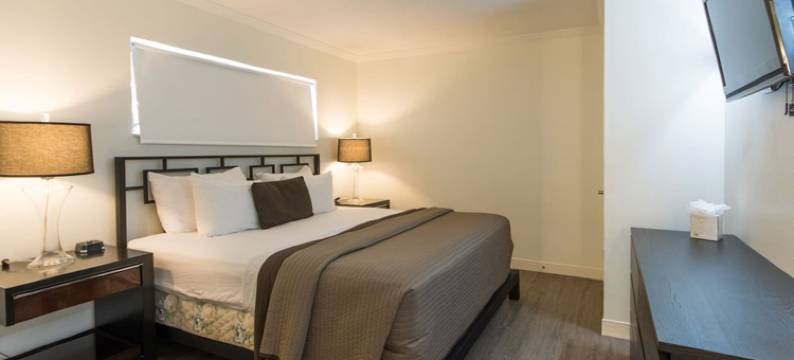 萨拉索塔木槿套房酒店(Hibiscus Suites - Sarasota)图片