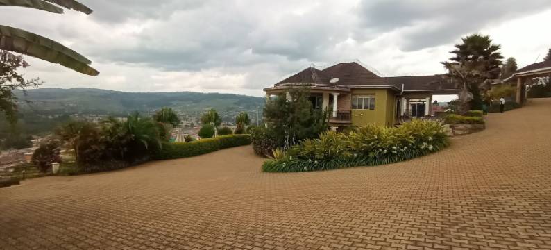 乔威里斯酒店(Jowillis Hotel)图片