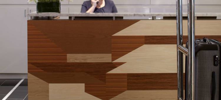 纽约菲夫蒂索内斯塔酒店(The Fifty Sonesta Hotel New York)图片