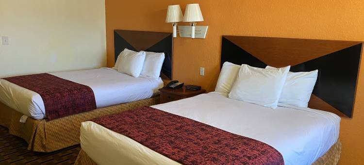 绿鸟旅社(Green Bird Inn)图片