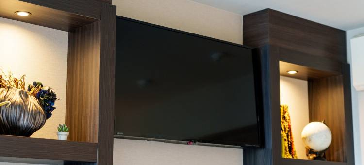 心斋桥东水晶酒店(Shinsaibashi-Higashi Crystal Hotel)图片