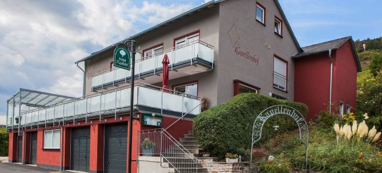 卡彭霍夫葡萄园酒店餐厅(Hotel-Restaurant-Weingut Kapellenhof)图片