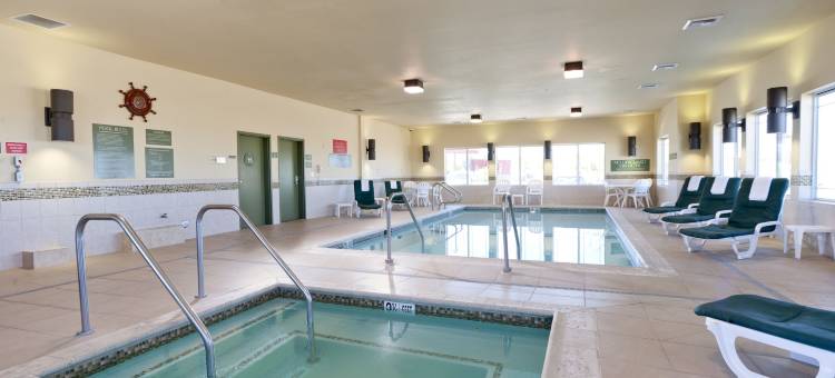 巴斯托假日酒店及套房(Holiday Inn & Suites Barstow)图片