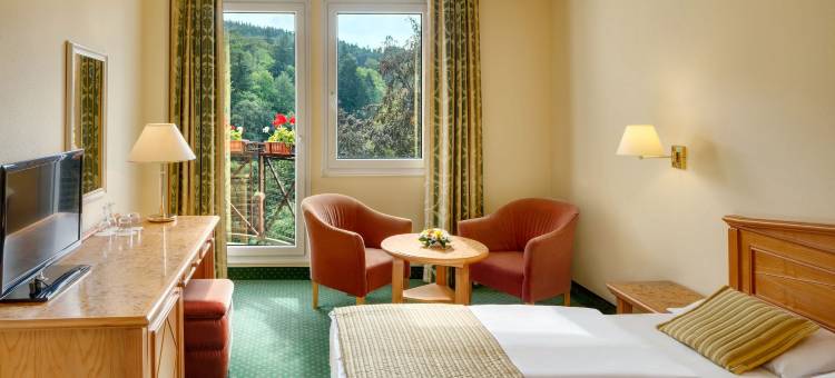 恩萨纳蝴蝶酒店(Ensana Butterfly)图片