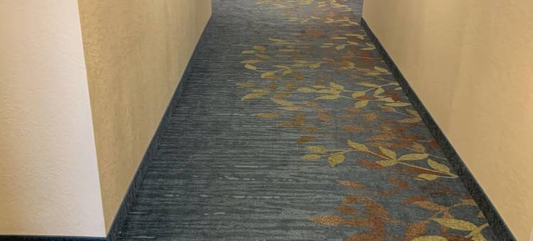 Candlewood Suites 大草原 - 阿灵顿(Candlewood Suites - Grand Prairie - Arlington)图片