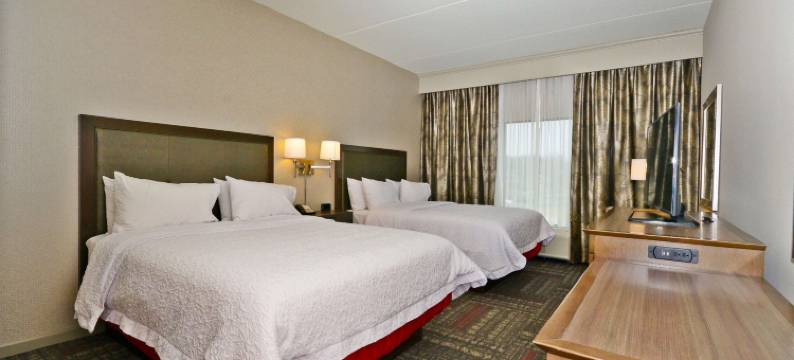 希尔顿欢朋酒店-普拉斯基(Hampton Inn Pulaski)图片