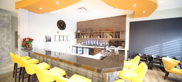 埃德蒙顿机场温德姆花园酒店(Wyndham Garden Edmonton Airport)图片