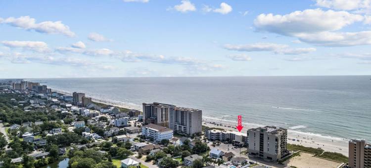 红树汽车旅馆(Oasis Hotel)图片