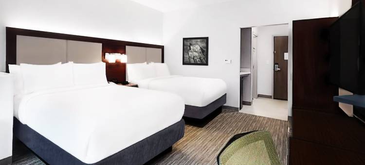 智选假日套房酒店-新奥尔良南查尔梅特-洲际酒店集团旗下(Holiday Inn Express & Suites Chalmette - New Orleans S by IHG)图片
