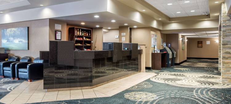 克拉丽奥套房酒店(Clarion Hotel & Suites)图片