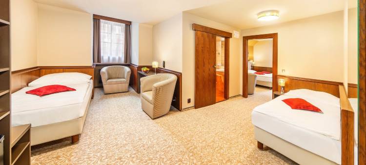 黄金之星酒店(Hotel Zlatá hvězda)图片