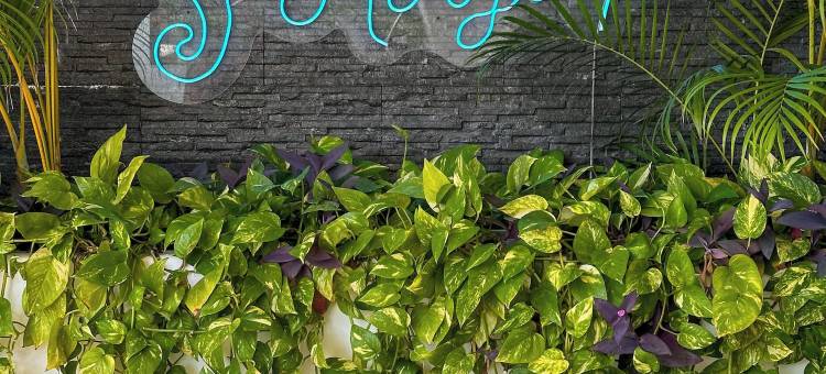 体验海滨酒店(Hotelito del Mar Playa del Carmen)图片