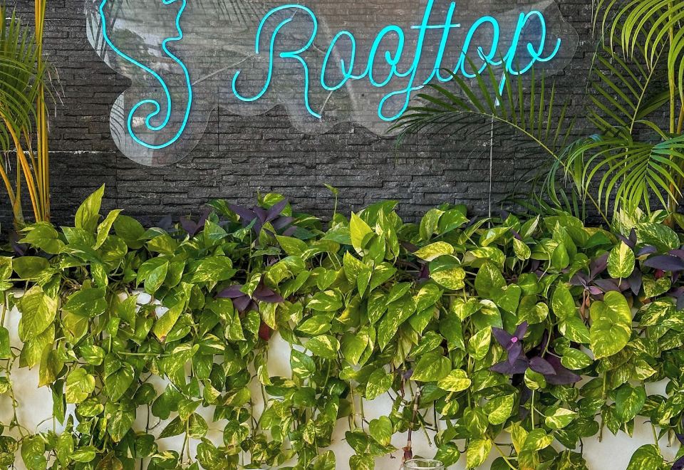 Hotelito del Mar Playa del Carmen Hotel Overview