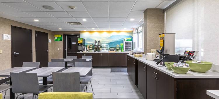 阿什维尔中心凯艺酒店-图努尔路(Quality Inn Asheville Downtown Tunnel Rd)图片